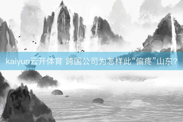 kaiyun云开体育 跨国公司为怎样此“偏疼”山东?